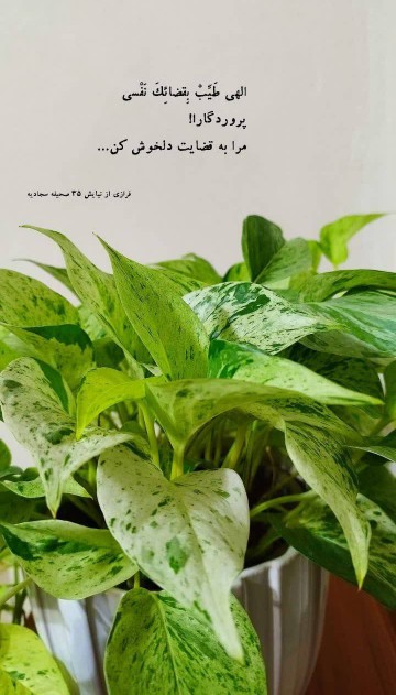 إلهی آمین 🤲