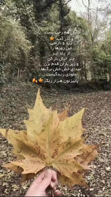 آبان کم کم داره تموم میشه غم منم امیدوارم باآبان بره 🍁🍂