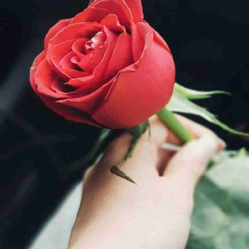 تقدیم دوستان