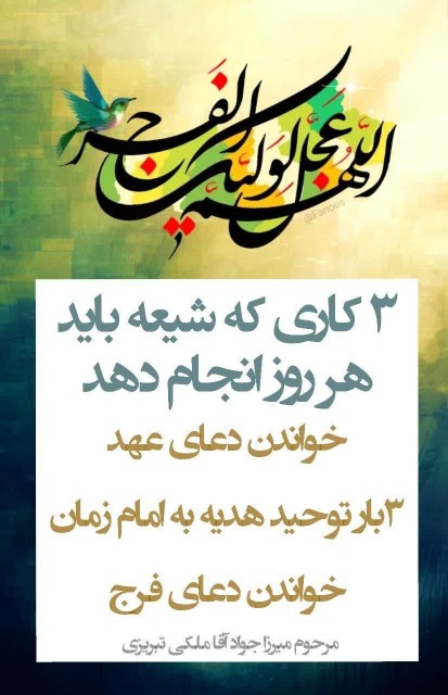 🤲🏻🤲🏻🕊️