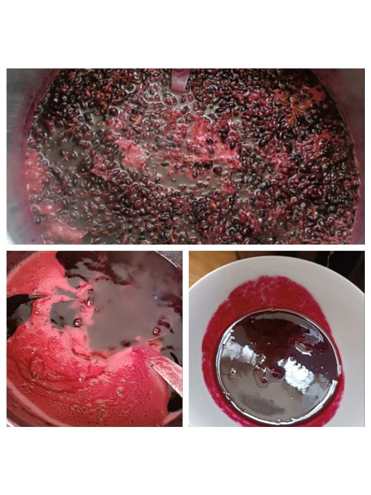 دوست عزیزم از همدان ،لطفا اگه پستم میبینی پی وی،پیس پیس