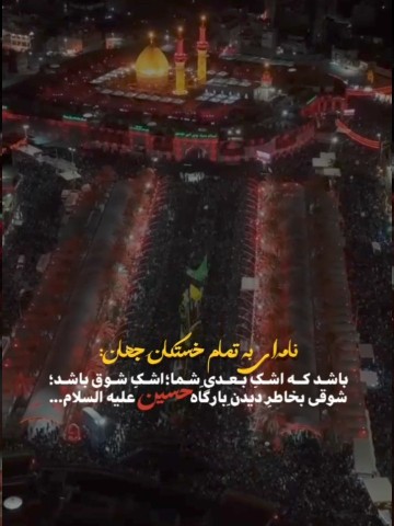 🌿🕊️🌿🕊️