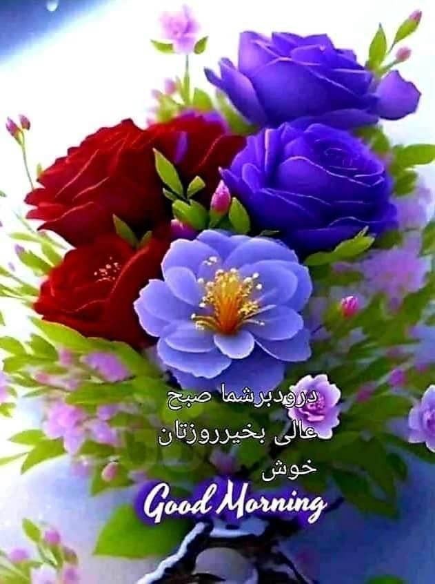 سلام صبح بخیر 