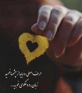 شبتون حسینی 