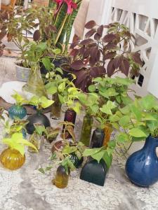 به وقت حمام دادن بچه هام...🌱🌿🌾☘️🍃🍂