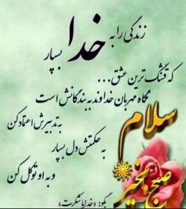 🌺🌺🌺🌺🌺🌺🌺