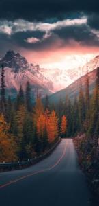 پایان زندگی