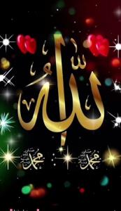 الله  💚 الله 💚  الله 💚 الله 💚 الله 💚 💕💕💕🌷💕