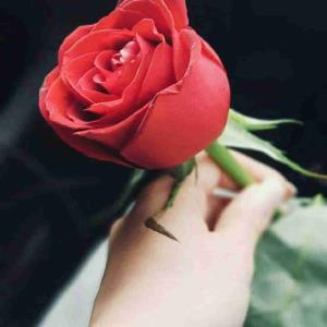 تقدیم دوستان