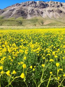 یادش بخیر باران