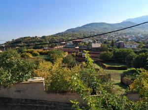 روستای من با زیبایی‌های که خدا داده  شکر خدای یکتا