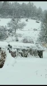 یکم حال دلتون عوض بشه 👌