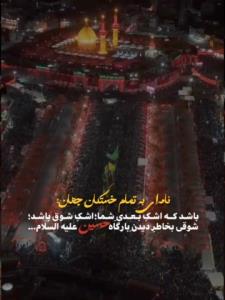 🌿🕊️🌿🕊️