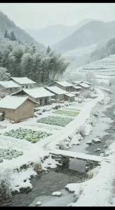 یکم حال دلتون عوض بشه 👌