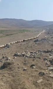 چوپان‌جان،کاش‌‌تو‌رئیس جمهور بودی👇👇🙏