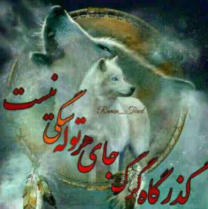 🔥🔥🔥😉😉😉😉👍👍👍