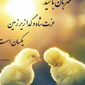 مهربان باشید....