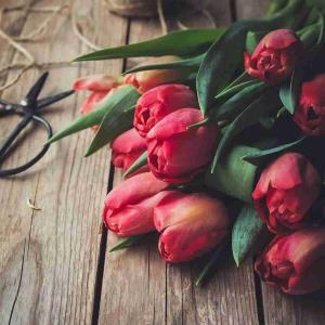 شب ‌پائیزیتان آرام و دلنشین 🦋✨🦋...زیبایی زندگی....زندگی زیباتر میشود
اگر به اندازه تمام برگ های پاییز
حالِ خوب را برای همدیگر آرزو کنیم...به اندازه تمام برگهای پائیزی برایتان آرزوی سلامتی و خاطر خوش آرزومندم🦋🌺🌺🌺🌺🦋