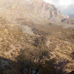 دنا زما و ما نیز از دناییم شبیه تک خلیج آریاییم مگه فتح سمیرم یادتان رفت تفنگچی و زبرنو آشناییم