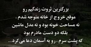 🌹🌹🌹🌹🌹🌹🌹🌹