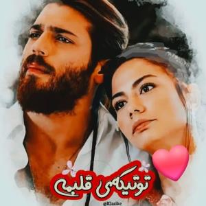 توتیکه‌ی‌قلبمی