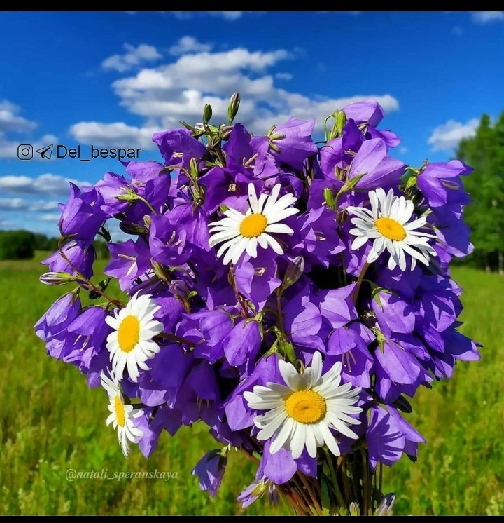 تقدیم میکنم به...؟؟؟؟🥰🥰