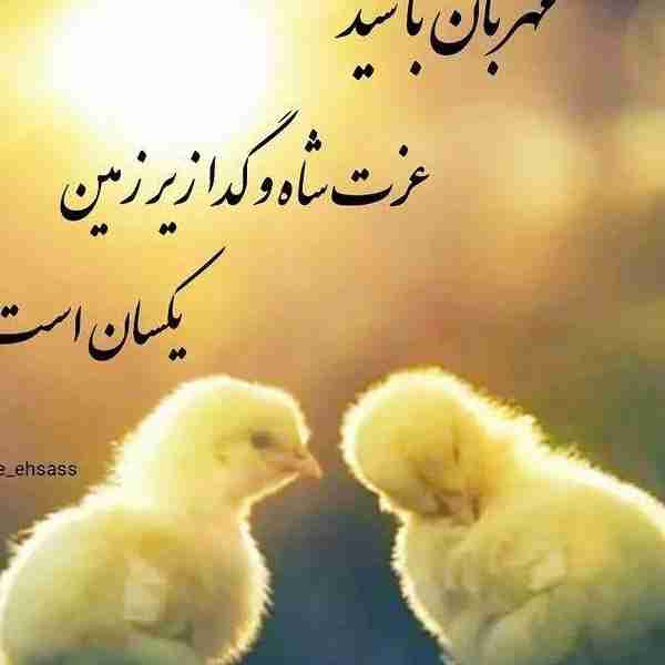 مهربان باشید....