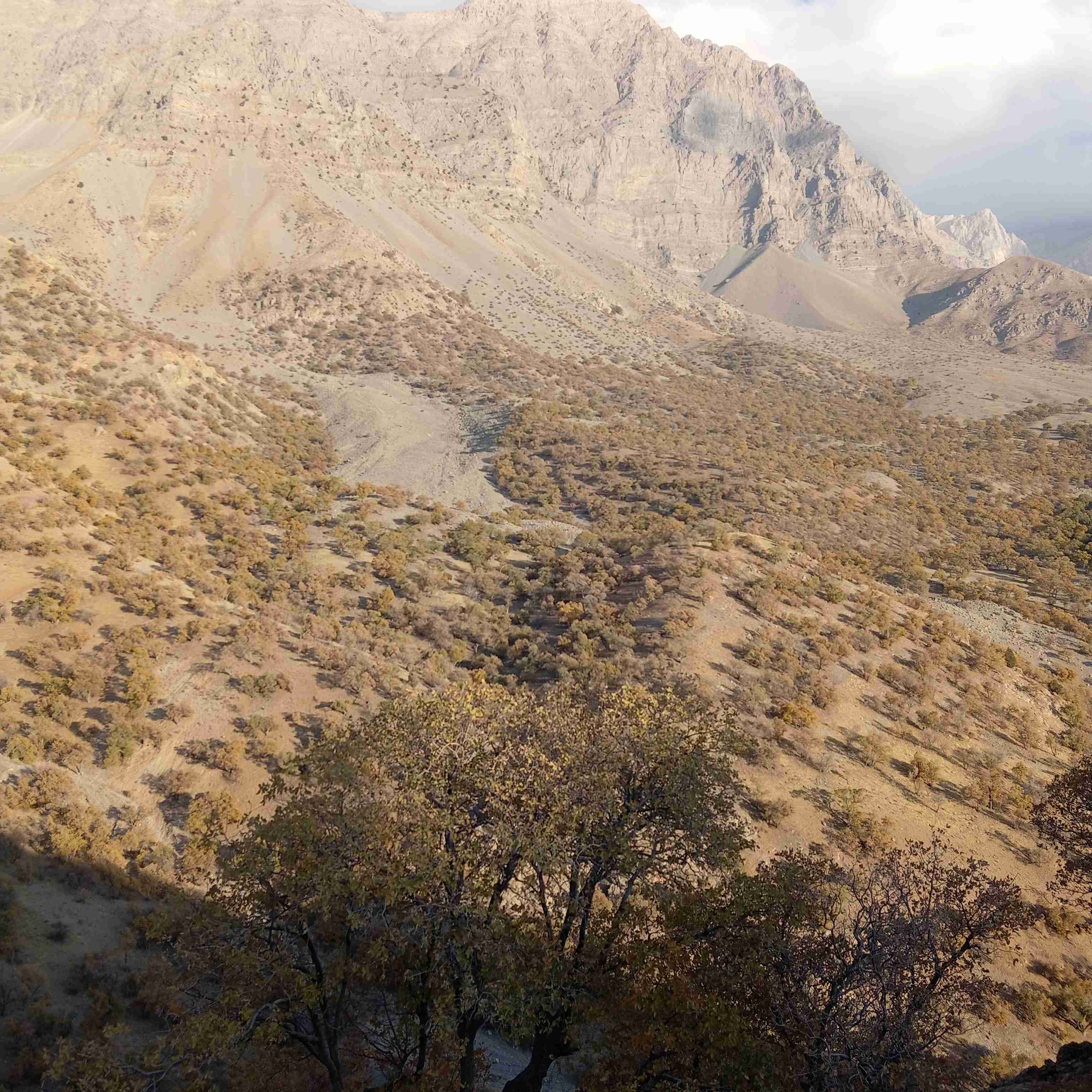 دنا زما و ما نیز از دناییم شبیه تک خلیج آریاییم مگه فتح سمیرم یادتان رفت تفنگچی و زبرنو آشناییم