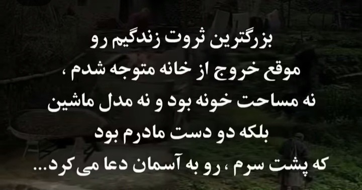 🌹🌹🌹🌹🌹🌹🌹🌹