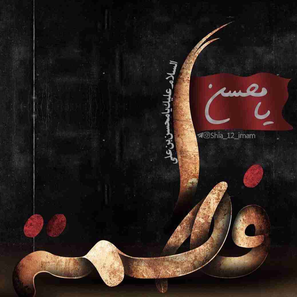 امام صادق: خدا به پیامبرش فرمود اولین کسی که در قیامت در مورد او دادرسی می‌شود محسن بن علی است ( کامل زیارات ، باب ۱۰۱، حدیث ۱۱) 