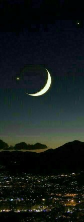 🌙شب بخیر⭐⭐⭐