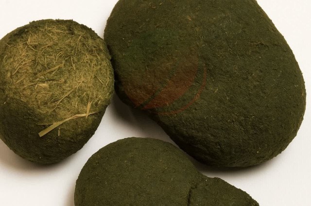 🌏 عنبرنسارا 

🔸دود دادن عنبر نسارا در بادهای کثیف سر و گرف