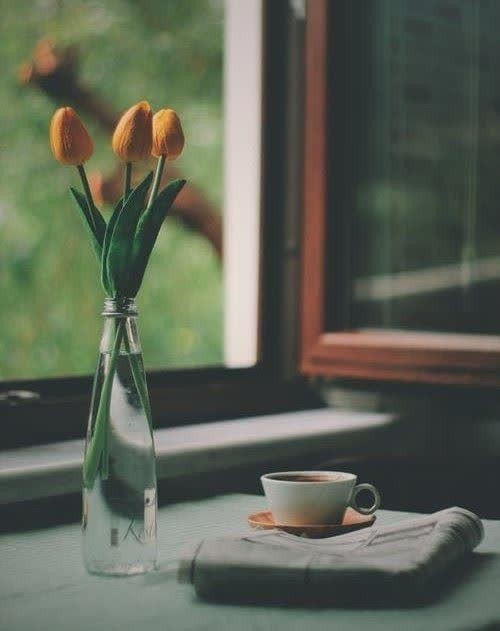 چقدر درک شدن دلنشینه 