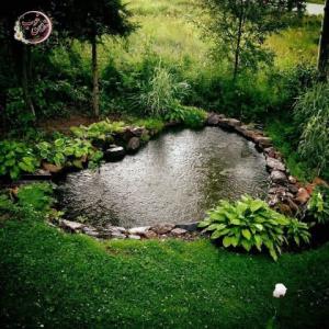 🌸🩷🌸🩷🌸🩷