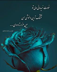 روزت مبارک تیکه گاه امن من M🫀❤️