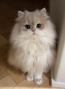 یک عدد عشق😍