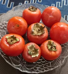 دوستان بفرمایید خرمالو قصردشت رسیده مثل رطب ✋️🌹🍁🍂