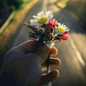 🩷🌸🩷🌸🩷🌸