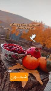 شبتون ناردونی... 🤞🍁🕊