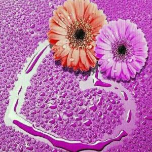 در این دنیا