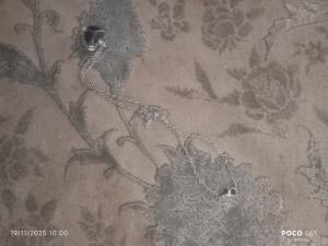 پسرا چی گیرتون اومد