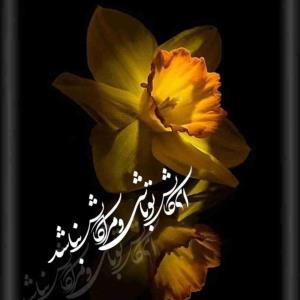 دیگرهیچ،،،و،،،همه پوچ