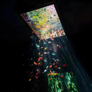 این اتفاقیه که درونم رخ میده وقتی می‌بینمت :😍