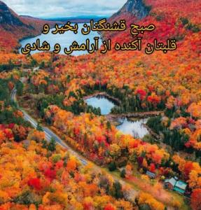 سلام صبح دوستانم بشادی و زیبایی 🦋⚘🦋⚘