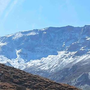 هر نگاهت "سازِ دلداری" چه موزون می‌زند
گاه "چنگ" وُ گاه "عود" وُ گاه "قانون" می‌زند!

"عشق" با "سرپنجه‌ی احساس" در چشمانِ تو..
در "سه‌گاهِ دلبری" "شورِ همایون" می‌زند!!

#یاس_امینی🍁🪴🍁🪴
‌‌‎