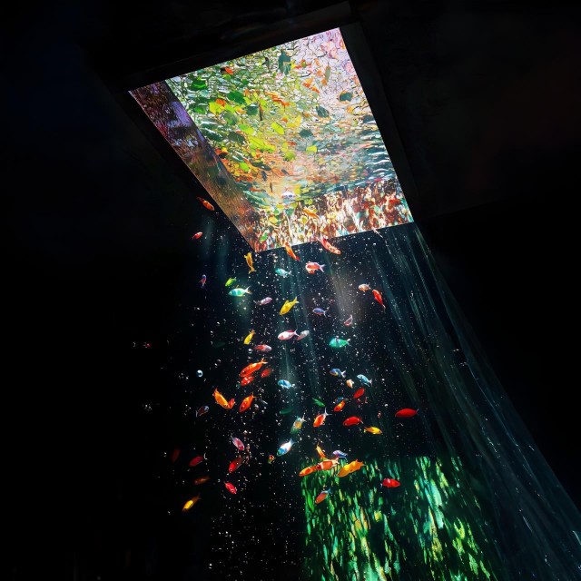 این اتفاقیه که درونم رخ میده وقتی می‌بینمت :😍