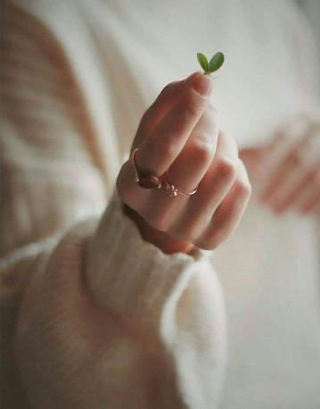 🌺امیرالمؤمنین علی علیه‌السلام می فرمایند: