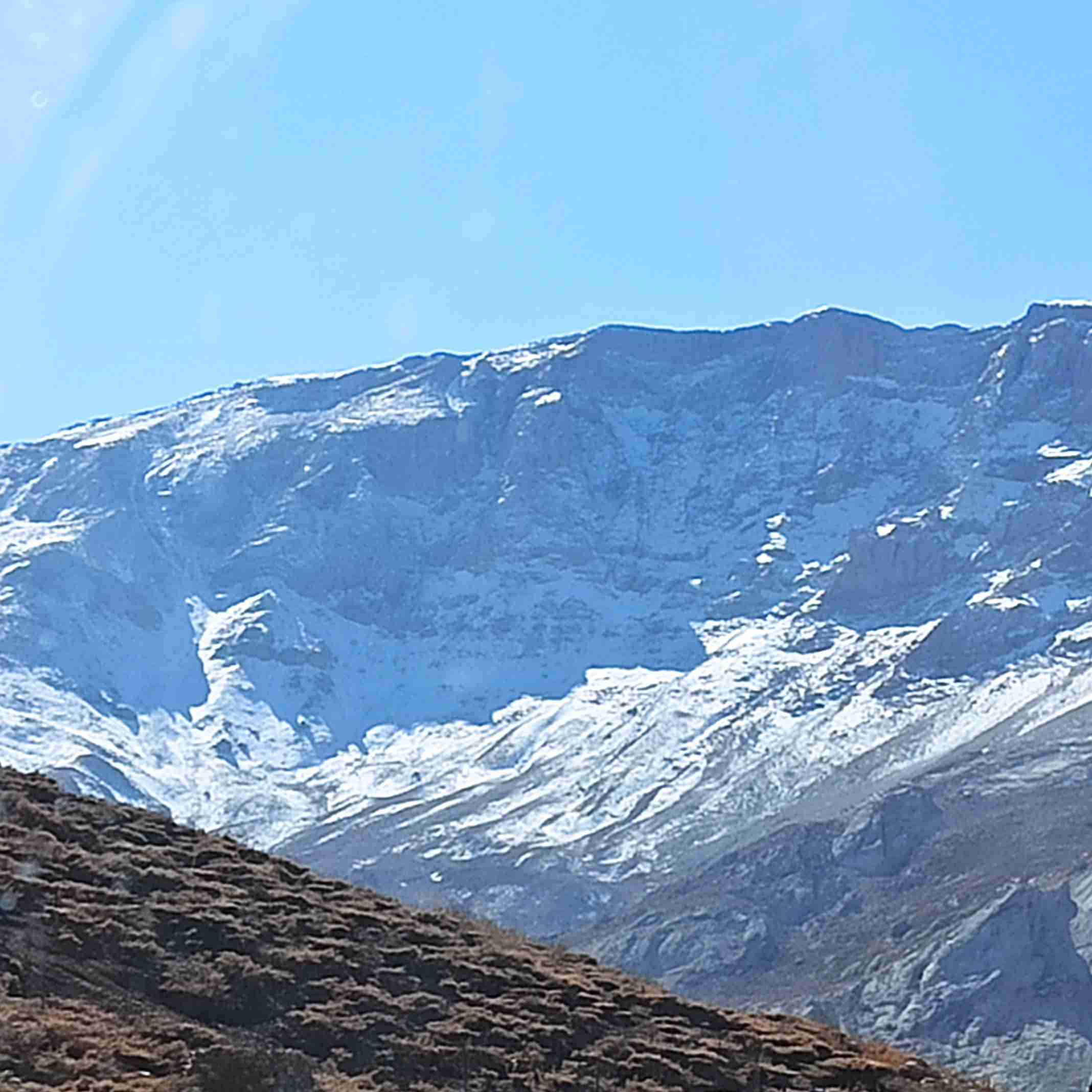 هر نگاهت "سازِ دلداری" چه موزون می‌زند
گاه "چنگ" وُ گاه "عود" وُ گاه "قانون" می‌زند!

"عشق" با "سرپنجه‌ی احساس" در چشمانِ تو..
در "سه‌گاهِ دلبری" "شورِ همایون" می‌زند!!

#یاس_امینی🍁🪴🍁🪴
‌‌‎