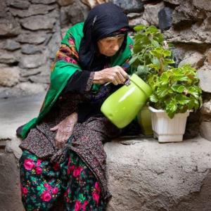 ای همدم خوش قلب من..😌🙏😌🙏