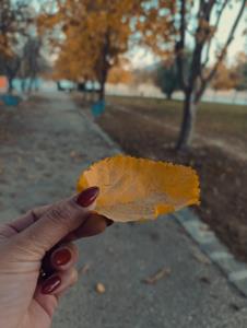 [معجزه اتفاق میوفته، باورش کن!